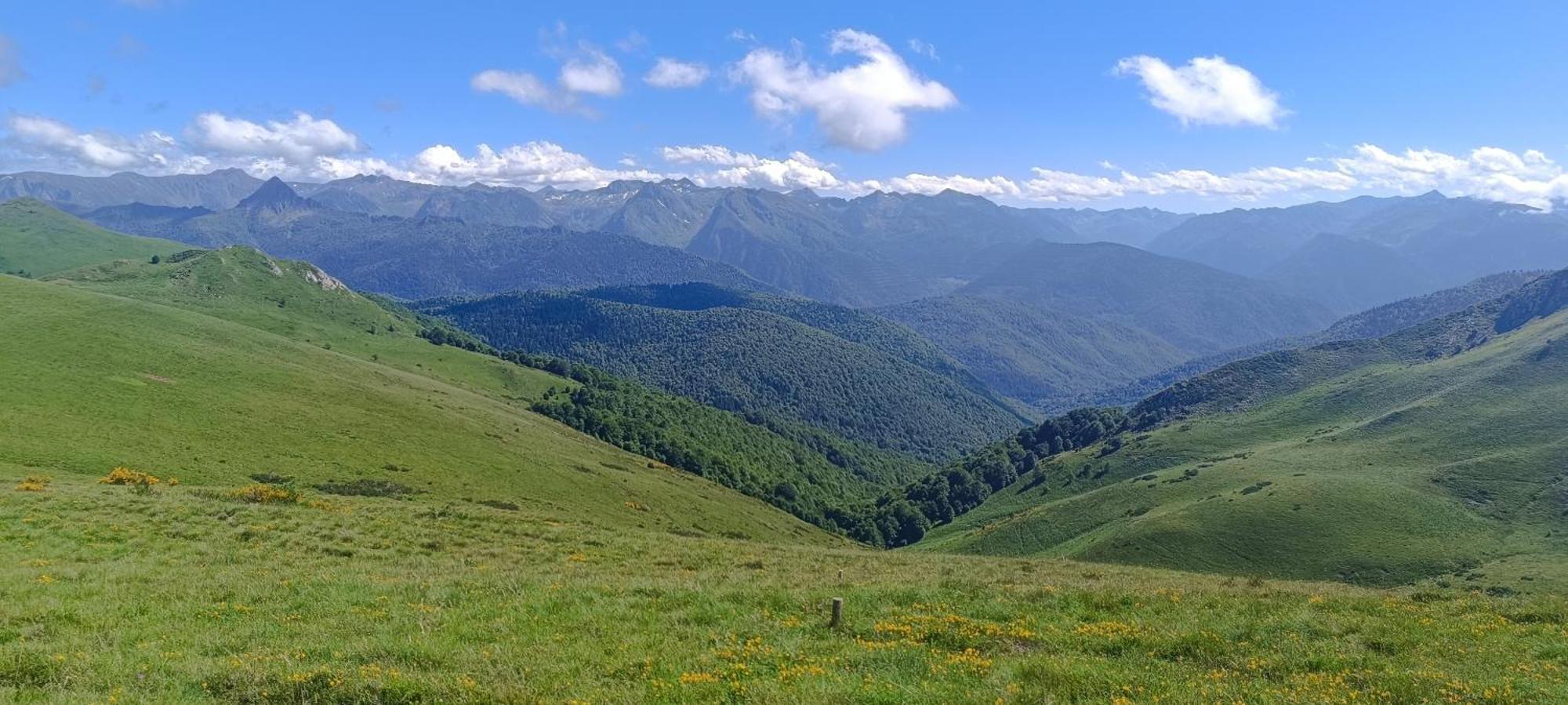 Gite Avec Vue Exceptionnelle Sur Les Montagnes Camurac المظهر الخارجي الصورة
